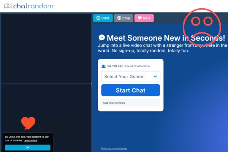 Chatrandom: Un’Analisi Critica della sua Proposta di Interazione Casuale