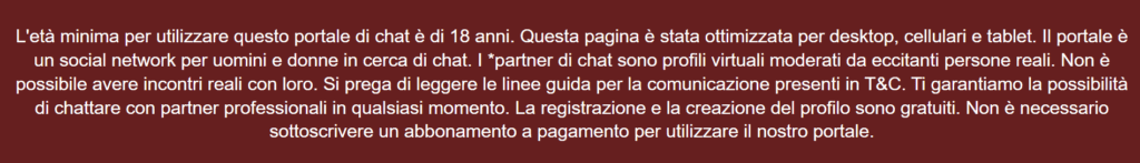 Nel footer c'è una confessione molto chiara sui profili falsi.